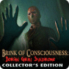 Brink of Consciousness: Dorian Gray Syndrome Collector's Edition igra 