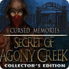 Cursed Memories: The Secret of Agony Creek Collector's Edition igra 