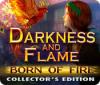 Darkness and Flame: Born of Fire Collector's Edition igra 