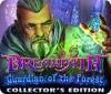 Dreampath: Guardian of the Forest Collector's Edition igra 