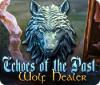 Echoes of the Past: Wolf Healer igra 