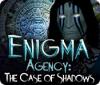 Enigma Agency: The Case of Shadows igra 