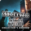 Enigmatis: The Ghosts of Maple Creek Collector's Edition igra 