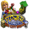 Flower Shop: Big City Break igra 