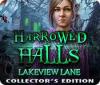 Harrowed Halls: Lakeview Lane Collector's Edition igra 