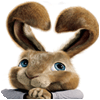 Hop: Easter Bunny Coloring igra 