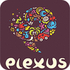 Plexus Puzzles: Rebuild the Earth igra 