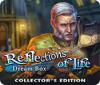Reflections of Life: Dream Box Collector's Edition igra 