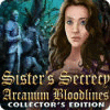 Sister's Secrecy: Arcanum Bloodlines Collector's Edition igra 
