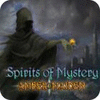 Spirits of Mystery: Amber Maiden Collector's Edition igra 