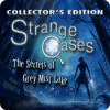 Strange Cases: The Secrets of Grey Mist Lake Collector's Edition igra 