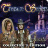 Treasure Seekers: Follow the Ghosts Collector's Edition igra 
