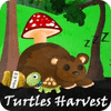 Turtles Harvest igra 