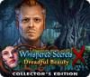 Whispered Secrets: Dreadful Beauty Collector's Edition igra 