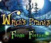 Witch's Pranks: Frog's Fortune igra 