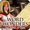 Word Wonders igra 