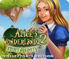 Alice's Wonderland 2: Stolen Souls Collector's Edition igra 