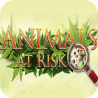 Animals At Risk igra 