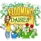 Blooming Daisies igra 