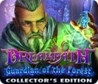 Dreampath: Guardian of the Forest Collector's Edition igra 