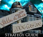 Hidden in Time: Looking-glass Lane Strategy Guide igra 