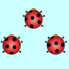 Ladybug Pair Up igra 