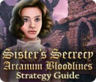 Sister's Secrecy: Arcanum Bloodlines Strategy Guide igra 