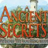 Ancient Secrets: Mystery of the Vanishing Bride igra 