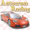 Autocross Racing igra 