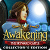 Awakening: The Skyward Castle Collector's Edition igra 