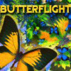 Butterflight igra 