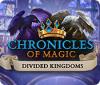Chronicles of Magic: The Divided Kingdoms igra 