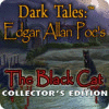 Dark Tales: Edgar Allan Poe's The Black Cat Collector's Edition igra 