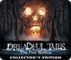 Dreadful Tales: The Fire Within Collector's Edition igra 