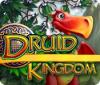 Druid Kingdom igra 