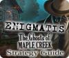Enigmatis: The Ghosts of Maple Creek Strategy Guide igra