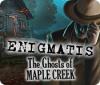 Enigmatis: The Ghosts of Maple Creek igra 