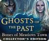 Ghosts of the Past: Bones of Meadows Town Collector's Edition igra 