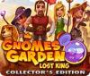 Gnomes Garden: Lost King Collector's Edition igra 