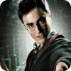 Harry Potter: Fight the Death Eaters igra 