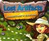 Lost Artifacts Collector's Edition igra 