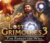 Lost Grimoires 3: The Forgotten Well igra 