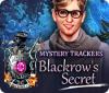 Mystery Trackers: Blackrow's Secret igra