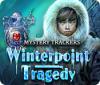 Mystery Trackers: Winterpoint Tragedy igra 