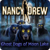 Nancy Drew: Ghost Dogs of Moon Lake igra 