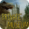 Private Museum igra 