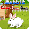 Rabbit Escape From Eagle igra 