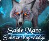 Sable Maze: Sinister Knowledge igra 