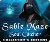 Sable Maze: Soul Catcher Collector's Edition igra 