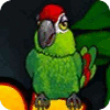Thirsty Parrot igra